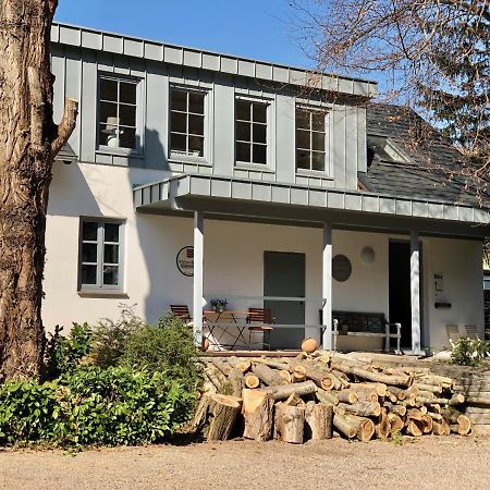 Ferienwohnung Weingut Villa Huesgen Am Moenchhof ترابن ترارباخ المظهر الخارجي الصورة